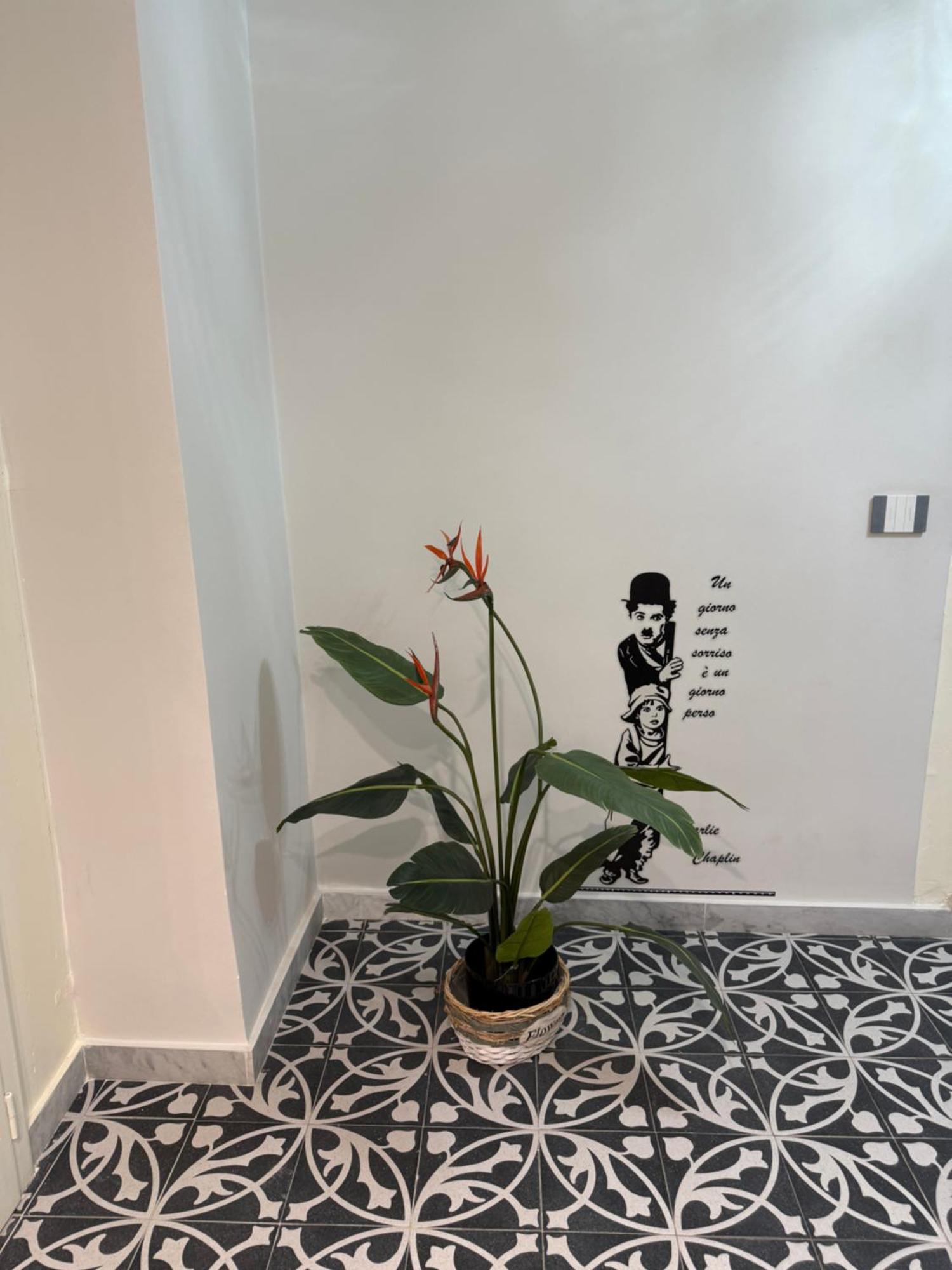 Vila Elisir House Palermo Exteriér fotografie